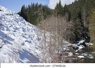 Pillow Field Of Powder Snow Leading Towards The Nooksak River In Whatcom County, Washington State