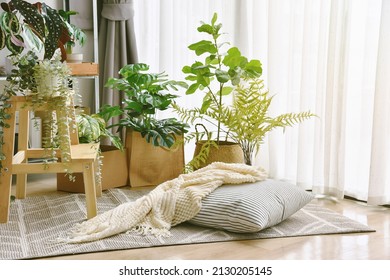 Pillow and soft blanket in relaxing space, Comfort living room with warm and cozy natural light, Artificial plant, Indoor tropical houseplant for home interior and air purification. - Shutterstock ID 2130205145