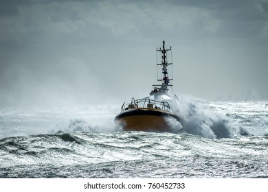 174 Zee Storm Images, Stock Photos & Vectors | Shutterstock