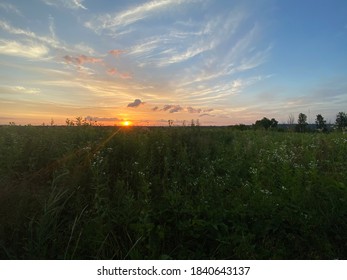 Pilot Knob Preservation Site
(end Of Pilot Knob)