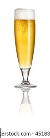 Pilsner Beer On A White Background