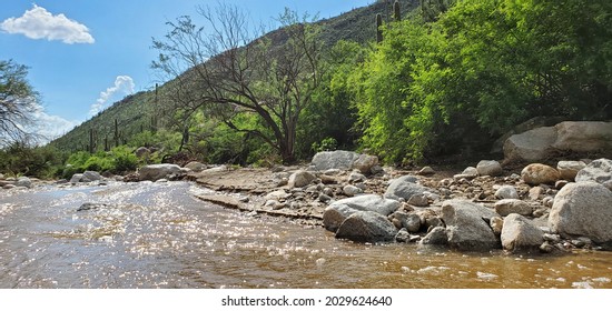 Pima Creek, a seasonal stream that runs after monsoon rains or snow melt in the spring. Gorgeous mountain scenery in the Catalina Mountains along Pima Canyon Trail north of Tucson, Arizona, USA.