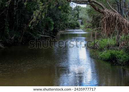 Pimpama Creek after 2022 floods