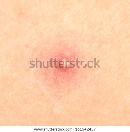 Similar – umbilicus Fluff Navel