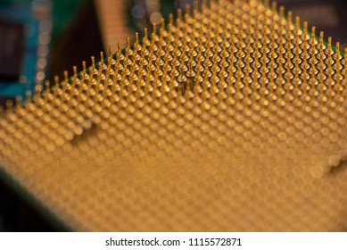 Pin Grid Array On A CPU Showing Rows Of Golden Pins.