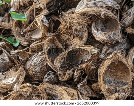  The pinang husks appear rough and solid, forming a natural part of the composition.

