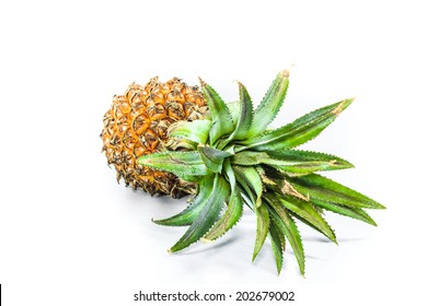 Pinapple