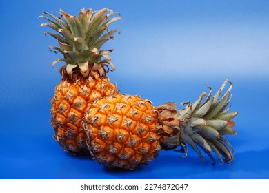 Pinapple fruit, still life composition