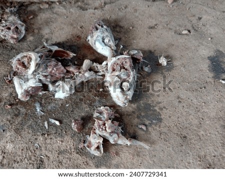 Pindang fish heads are scattered. Fishy smell.
