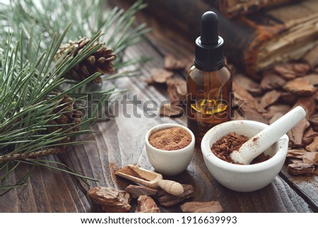 Pine bark, dropper bottle of tincture or oil, mortars of powdered pine bark, branches of pine tree and old books on dark wooden board.