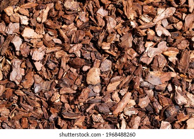 Pine Bark For Natural Weed Control In The Garden. Brown Bark Mulch As A Background.