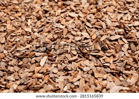 Pine bark substrate soil features small, uneven pieces ideal for use as mulch in gardens and landscaping, enhancing soil quality and moisture retention