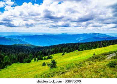 Pine Beetle Affected Forest In The Shuswap Highlands Seen From The West Bowl Of Tod Mountain In British Columbia, Canada