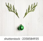 Pine branch green nose reindeer - Christmas Background Nature Wood White