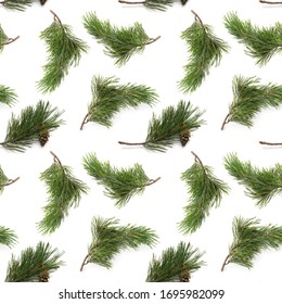 Pine Branches Images, Stock Photos & Vectors | Shutterstock