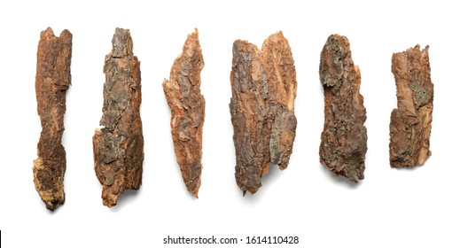 Pine, Cedar or Oak Tree Bark Pieces Isolated on White Background. Natural Broken Wooden Garden Mulch Chips Top View