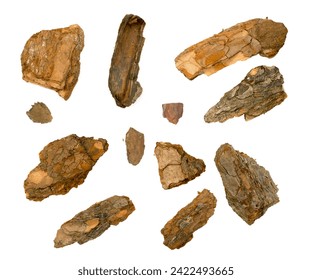 Pine, Cedar or Oak Tree Bark Pieces Isolated on White Background. Natural Broken Wooden Garden Mulch Chips Top View