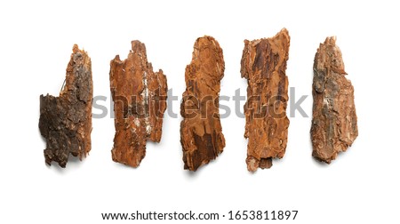 Pine, Cedar or Oak Tree Bark Pieces Isolated on White Background. Natural Broken Wooden Garden Mulch Chips Top View