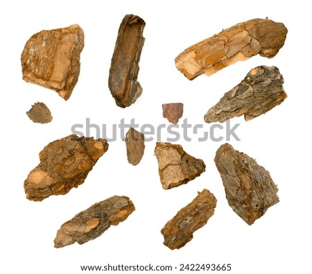 Pine, Cedar or Oak Tree Bark Pieces Isolated on White Background. Natural Broken Wooden Garden Mulch Chips Top View