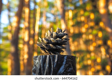 Pine cone with blur forest background 