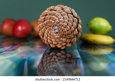 Pine Cone With Fibonacci Spirals On Reflecting Table