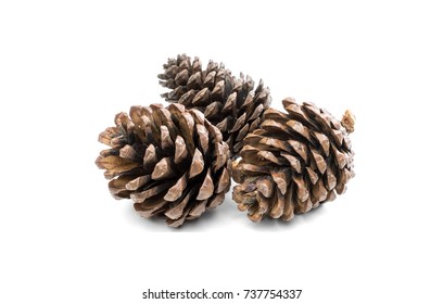 491,446 Pine cone Stock Photos, Images & Photography | Shutterstock