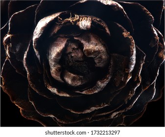 pine cone macro close up - Powered by Shutterstock