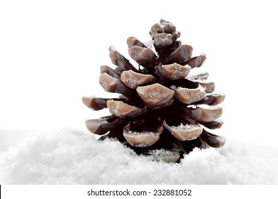 A Pine Cone On The Snow, On A White Background