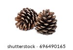 Pine cone on white background