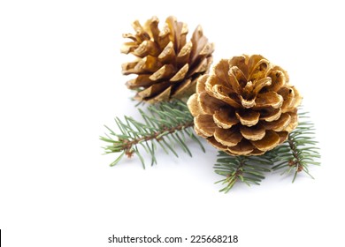 pine cones  - Shutterstock ID 225668218