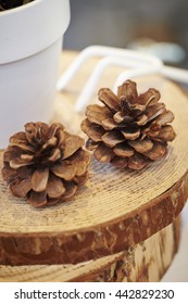 Pine cones