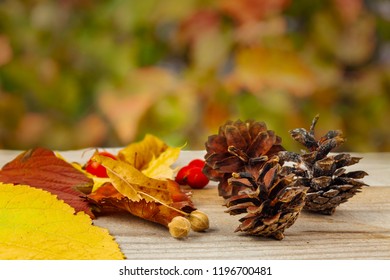 Pine cones and autumn leaves on an autumn background