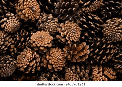 Pine cones close-up, background. Top view - Powered by Shutterstock