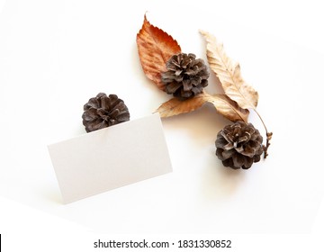 Pine cones, fallen leaves and empty cards on white basins.
