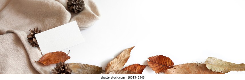 Pine cones, fallen leaves and empty cards on white basins.