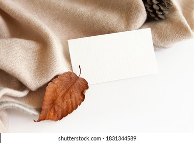 Pine cones, fallen leaves and empty cards on white basins.