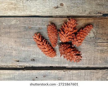 Pine cones falling from the tree