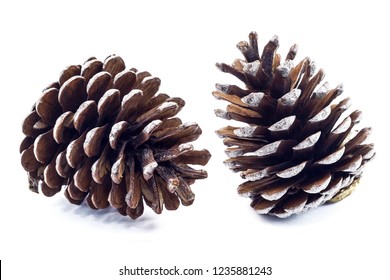 Pine Cones Isolated On White Background.