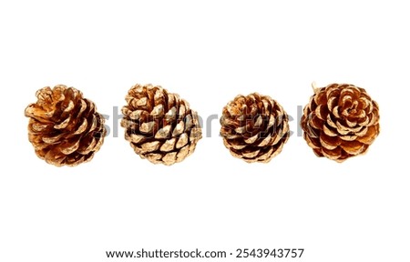 Pine cones isolated on white, four gold paint conifer cones closeup