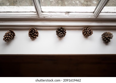 Pine cones lined up in a display on window sill old paned glass vintage windows with natural light on display.
