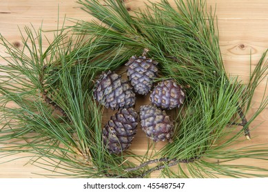 Pine cones and needles closeup on a wooden table