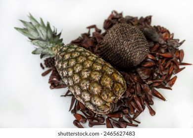 Pine cones, pine nuts in grains and Pineapple the closed fruit as well