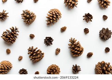 pine cones on colored table. natural holiday background with pinecones grouped together. Flat lay. Winter concept.