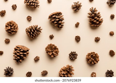 pine cones on colored table. natural holiday background with pinecones grouped together. Flat lay. Winter concept.