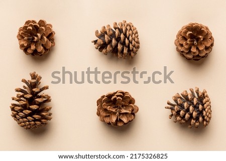pine cones on colored table. natural holiday background with pinecones grouped together. Flat lay. Winter concept.