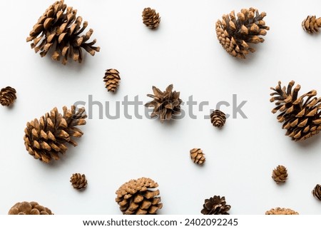 pine cones on colored table. natural holiday background with pinecones grouped together. Flat lay. Winter concept.