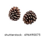 Pine cones on white background