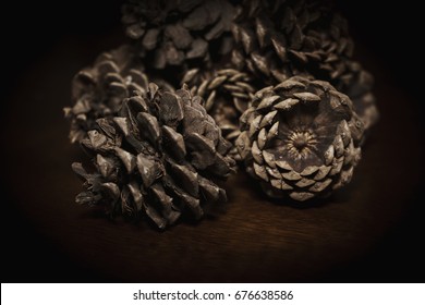 pine cones in a pile