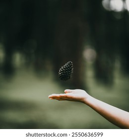 pine corn fly over hand