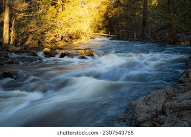 Pine Creek spring flows near Eagle Lake and Spalding in Lassen County, California, USA.